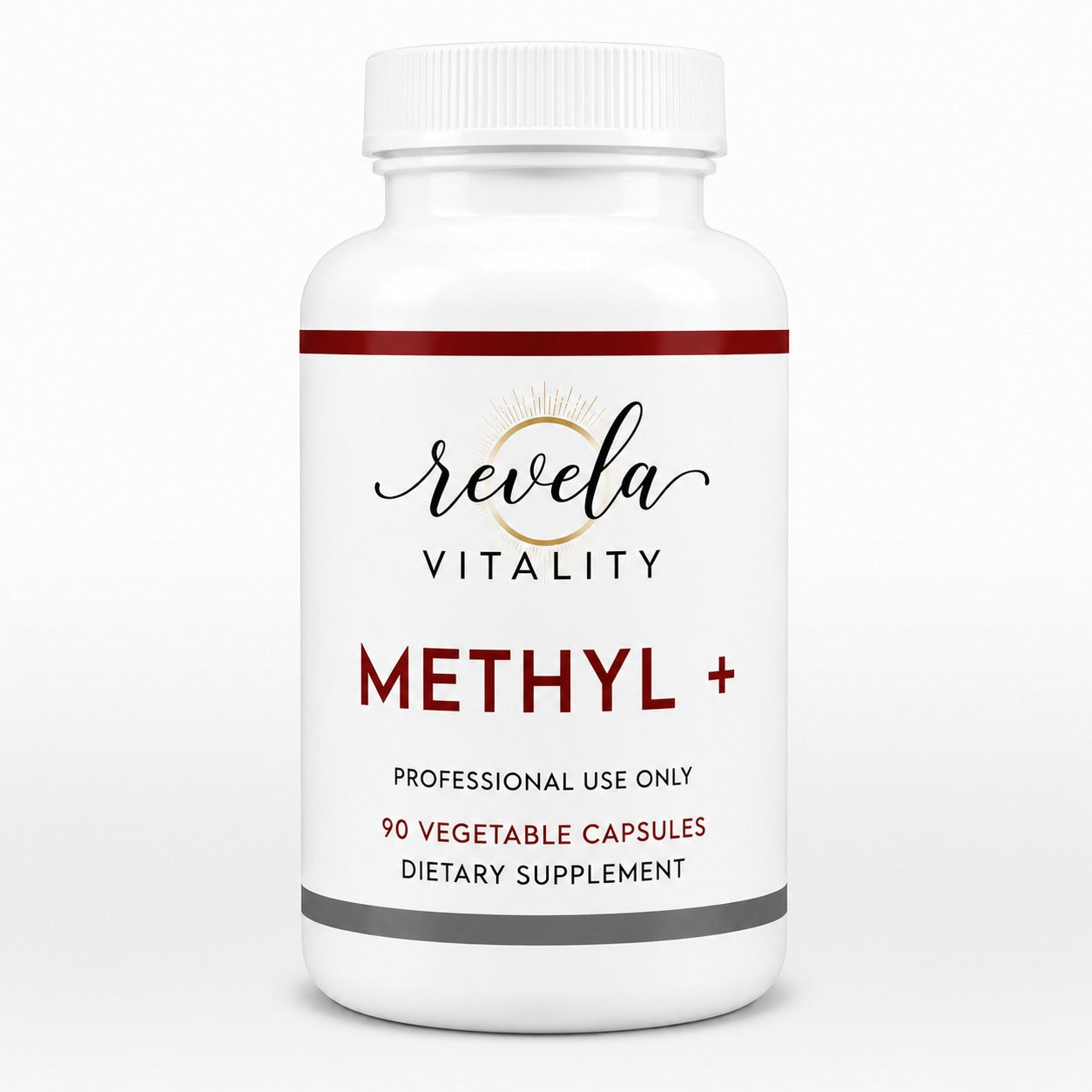 MethylPlus